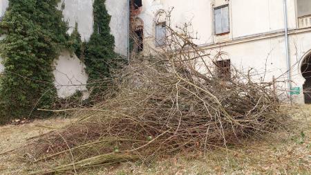 Jelsingrad ciscenje 3